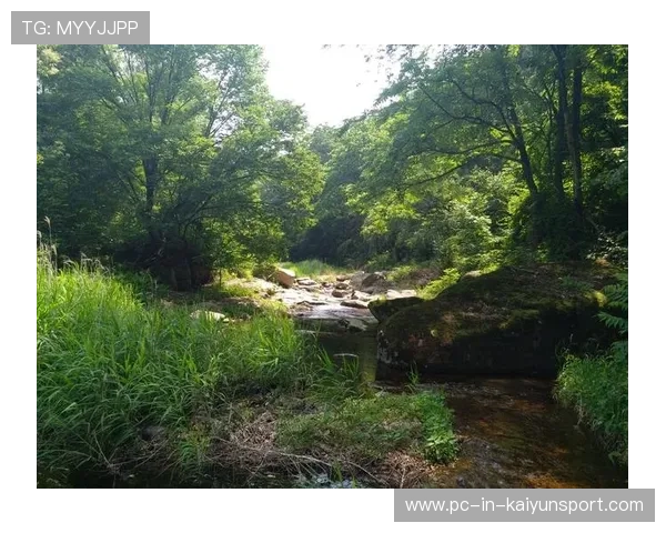 火花兄弟正式成型：开创未来的创新之路